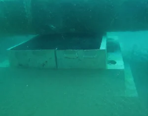 desfa underwater